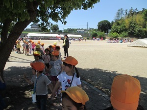 IMG_0752 IMG_0752
