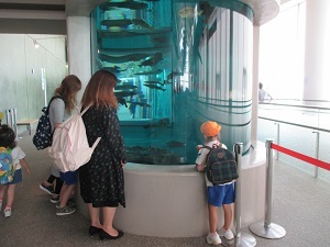 IMG_0793 IMG_0793