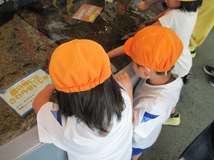IMG_0794 IMG_0794