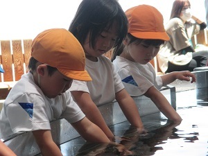IMG_0801 IMG_0801