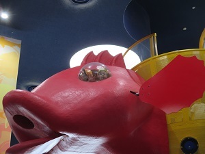 IMG_0799 IMG_0799