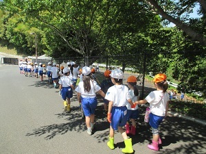 IMG_0823 IMG_0823
