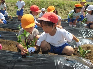 IMG_0827 IMG_0827