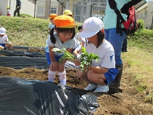 IMG_0828 IMG_0828