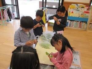 IMG_0960 IMG_0960