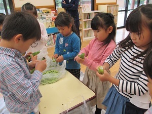 IMG_0961 IMG_0961