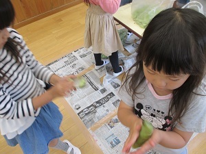 IMG_0962 IMG_0962