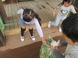 IMG_0967 IMG_0967