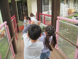 IMG_0968 IMG_0968