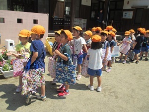 IMG_0971 IMG_0971