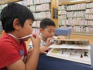IMG_0976 IMG_0976