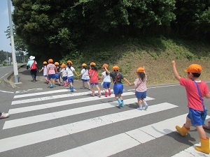IMG_1082 IMG_1082