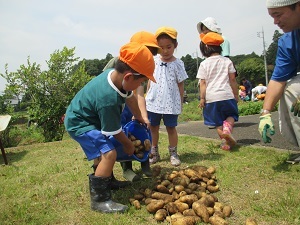 IMG_1101 IMG_1101