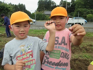 IMG_1114 IMG_1114