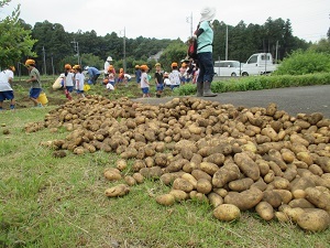 IMG_1120 IMG_1120