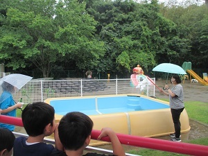IMG_1150 IMG_1150