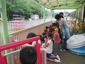 IMG_1152 IMG_1152