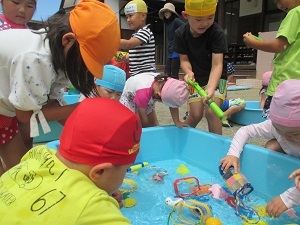 IMG_1230 IMG_1230