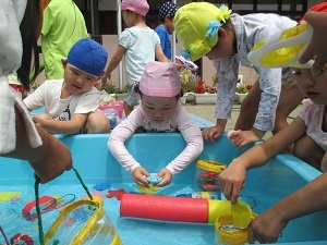 IMG_1232 IMG_1232