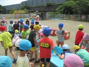 IMG_1233 IMG_1233