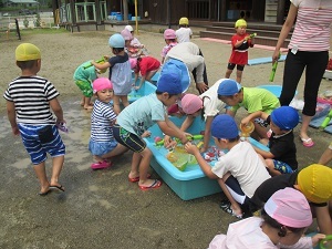 IMG_1247 IMG_1247