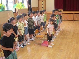 IMG_1533 IMG_1533