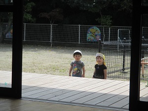 IMG_1531 IMG_1531