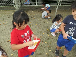 IMG_1609 IMG_1609