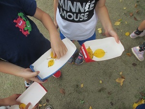 IMG_1610 IMG_1610