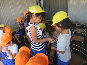 IMG_1811 IMG_1811