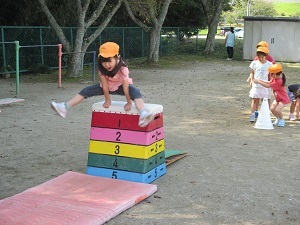IMG_1833 IMG_1833