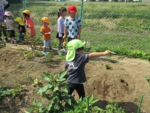IMG_1840 IMG_1840
