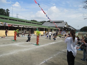 IMG_1902 IMG_1902