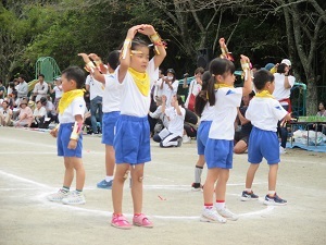 IMG_1914 IMG_1914