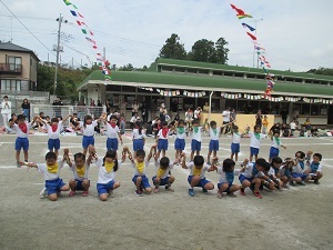 IMG_1925 IMG_1925