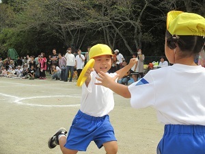IMG_1934 IMG_1934