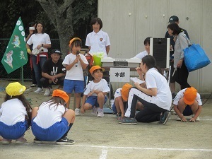 IMG_1946 IMG_1946