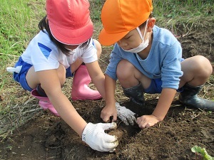 IMG_2210 IMG_2210