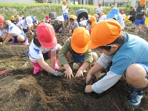 IMG_2215 IMG_2215