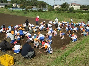 IMG_2224 IMG_2224