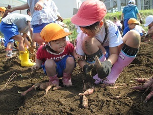 IMG_2234 IMG_2234