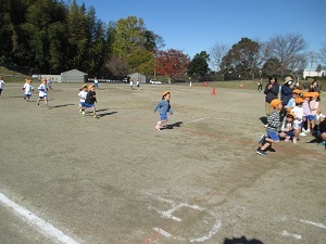 IMG_2187 IMG_2187