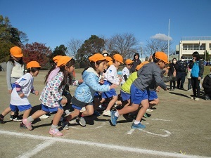 IMG_2193 IMG_2193