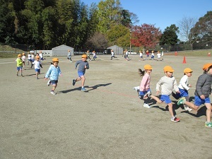 IMG_2194 IMG_2194