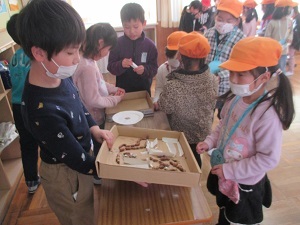 IMG_3458 IMG_3458