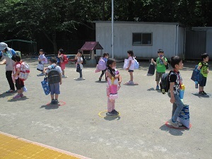 IMG_2996 IMG_2996