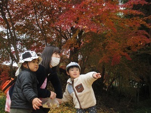 IMG_2645