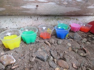 IMG_3265 IMG_3265