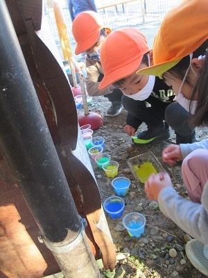 IMG_3272 IMG_3272