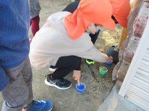 IMG_3274 IMG_3274